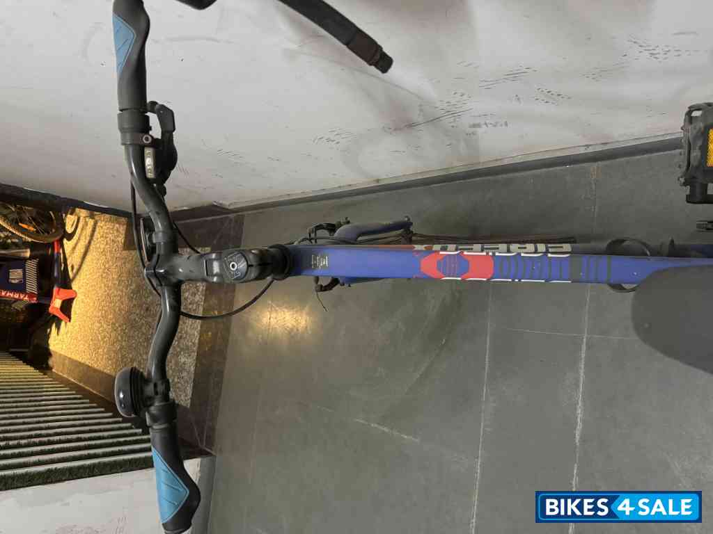 Bicycle Firefox Bicycle Firefox