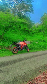 Orange KTM Duke 390 2024