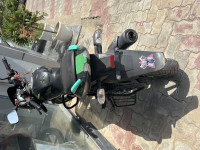 Tree Frog Green Bajaj Pulsar 125 Carbon Fibre Disc Split Seat