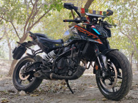 Ebony Black KTM Duke 250 2025