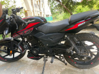 Bajaj Pulsar 150 Twin Disc 2024 Model