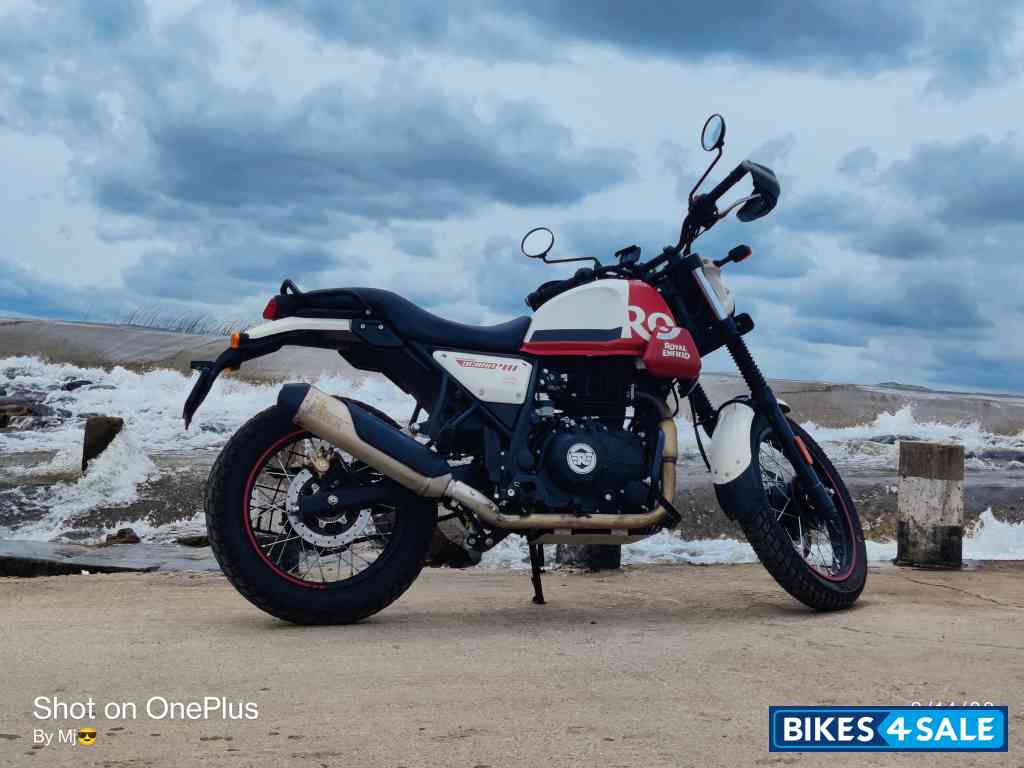 White Flame Royal Enfield Scram 411