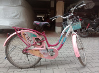 Pink Bicycle BSA