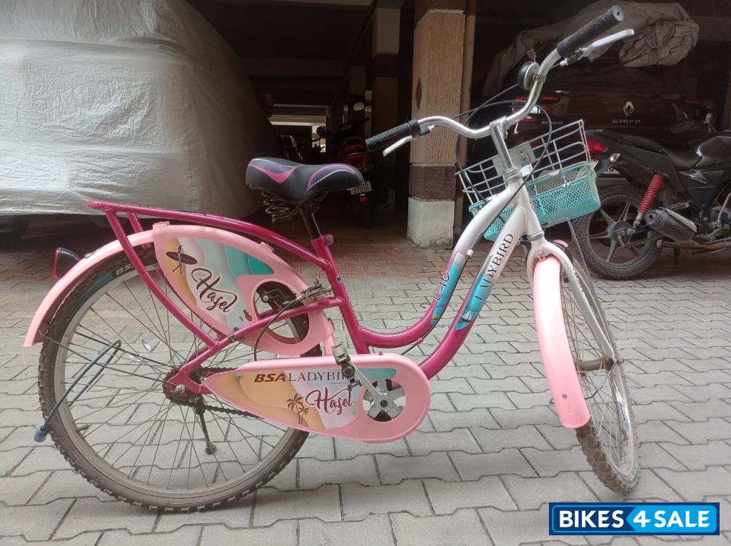 Pink Bicycle BSA Pink Bicycle BSA