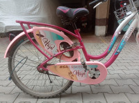 Pink Bicycle BSA