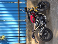 Triumph Scrambler 400 X 2024 Model