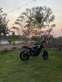 Triumph Scrambler 2024 Model