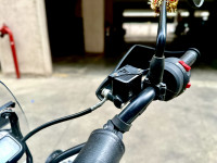 Black Triumph Scrambler 400 X