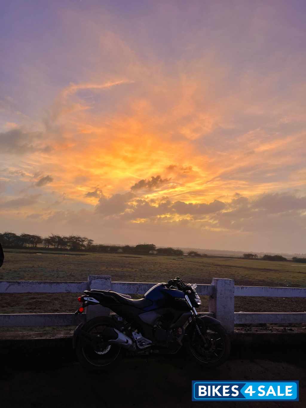 Armanda Blue Yamaha FZ FI V3 BS6