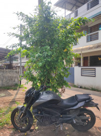 Black Bajaj 2021 Dominar 400