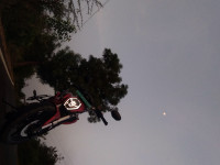 Cosmic Red Revolt RV 400