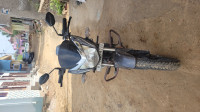 Honda Shine 125 Drum