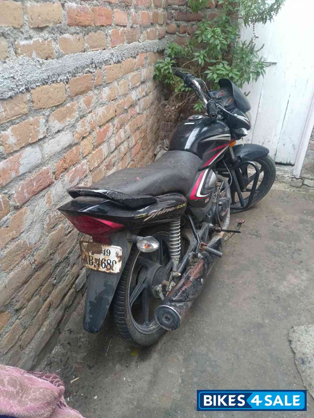 Honda Shine 125 Drum