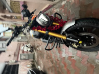 TVS Ronin 2025 2024 Model