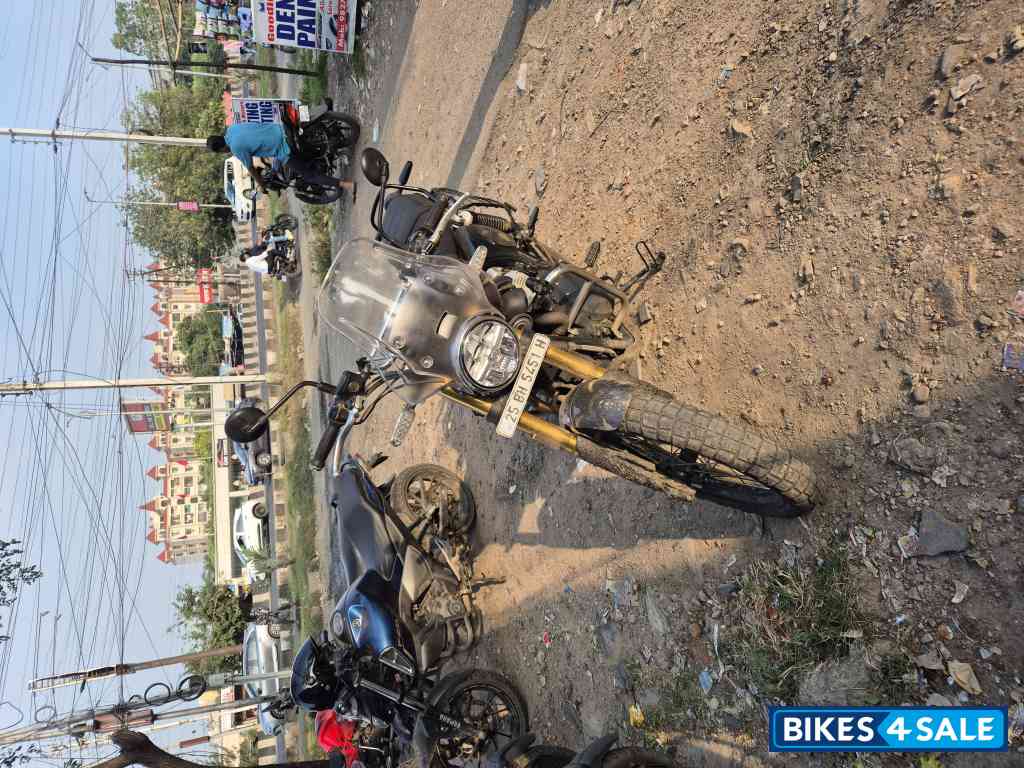 Golden Shadow Royal Enfield Bear 650