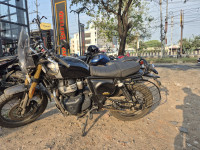 Golden Shadow Royal Enfield Bear 650