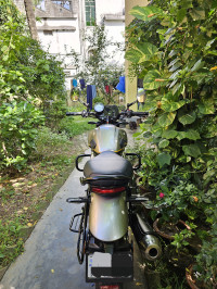 Grey Bkrs TVS Ronin TD