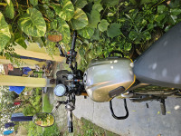 Grey Bkrs TVS Ronin TD