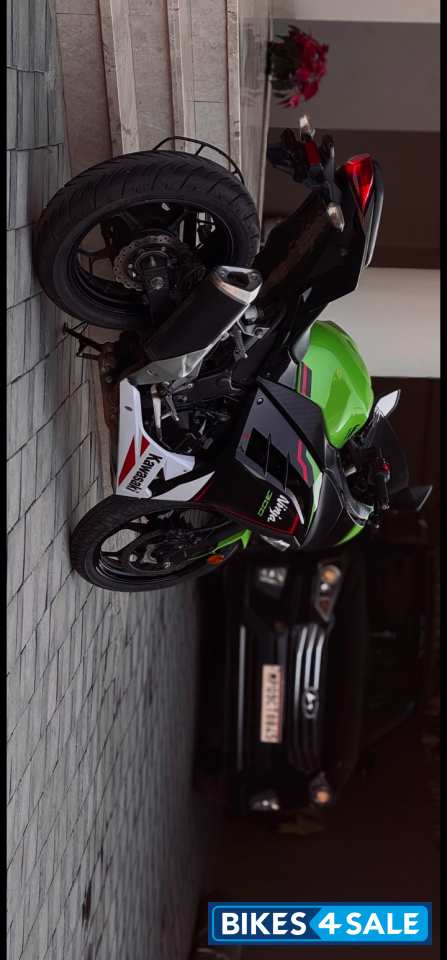 Lime Green Kawasaki Ninja 300 BS6