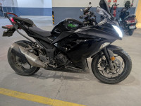 Kawasaki Ninja 300 BS6 2022