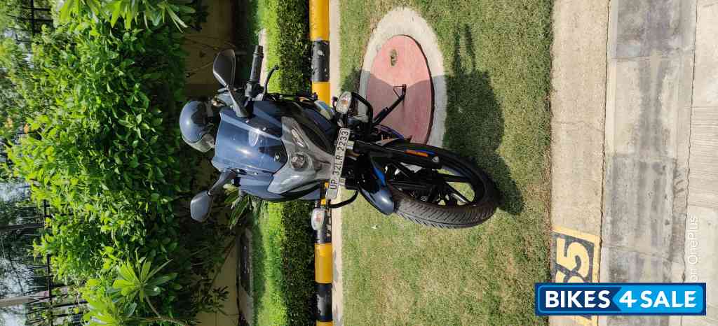 Ebony Black Blue Dkl Bajaj Pulsar 220F BS6