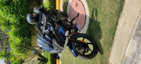 Ebony Black Blue Dkl Bajaj Pulsar 220F BS6