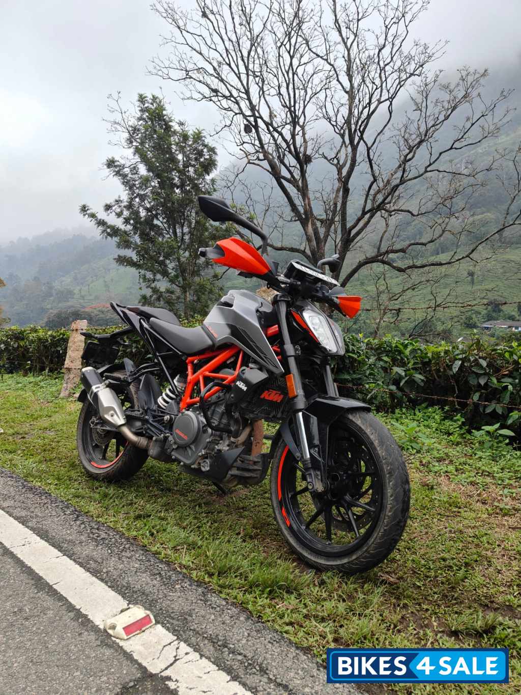 KTM Duke 390 2022