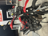 Red Hero Xpulse 200 4V