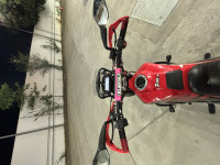 Red Hero Xpulse 200 4V