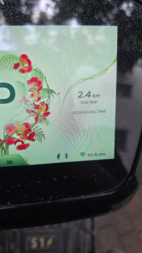 Ola S1 Pro 2024 Model