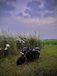 Bajaj Pulsar NS 200 BS6
