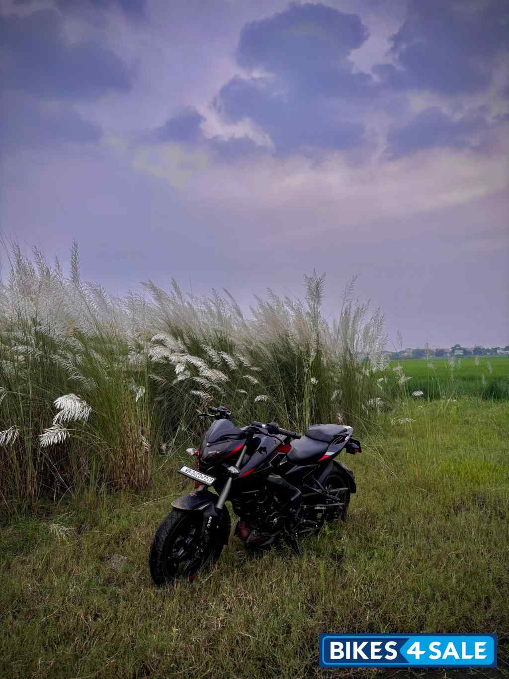 Bajaj Pulsar NS 200 BS6