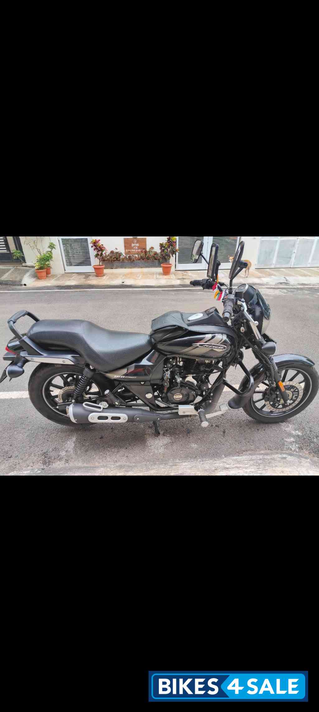 Bajaj Avenger Street 160 BS6