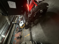 Triumph Speed 400 2025