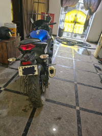 Kawasaki Ninja 300 BS6