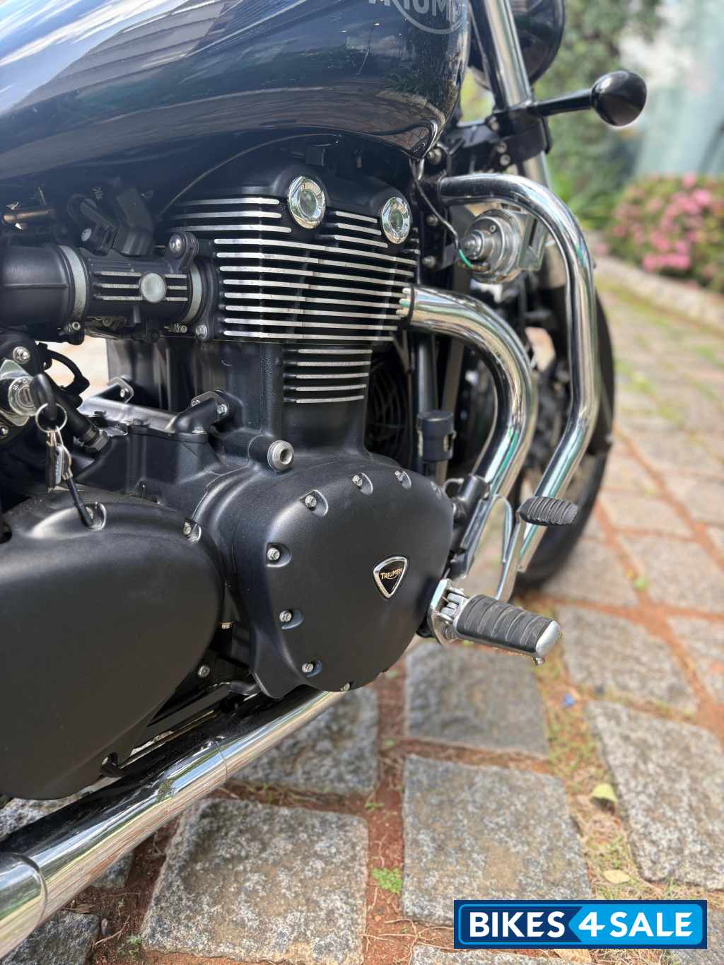 Black Triumph Thunderbird Storm