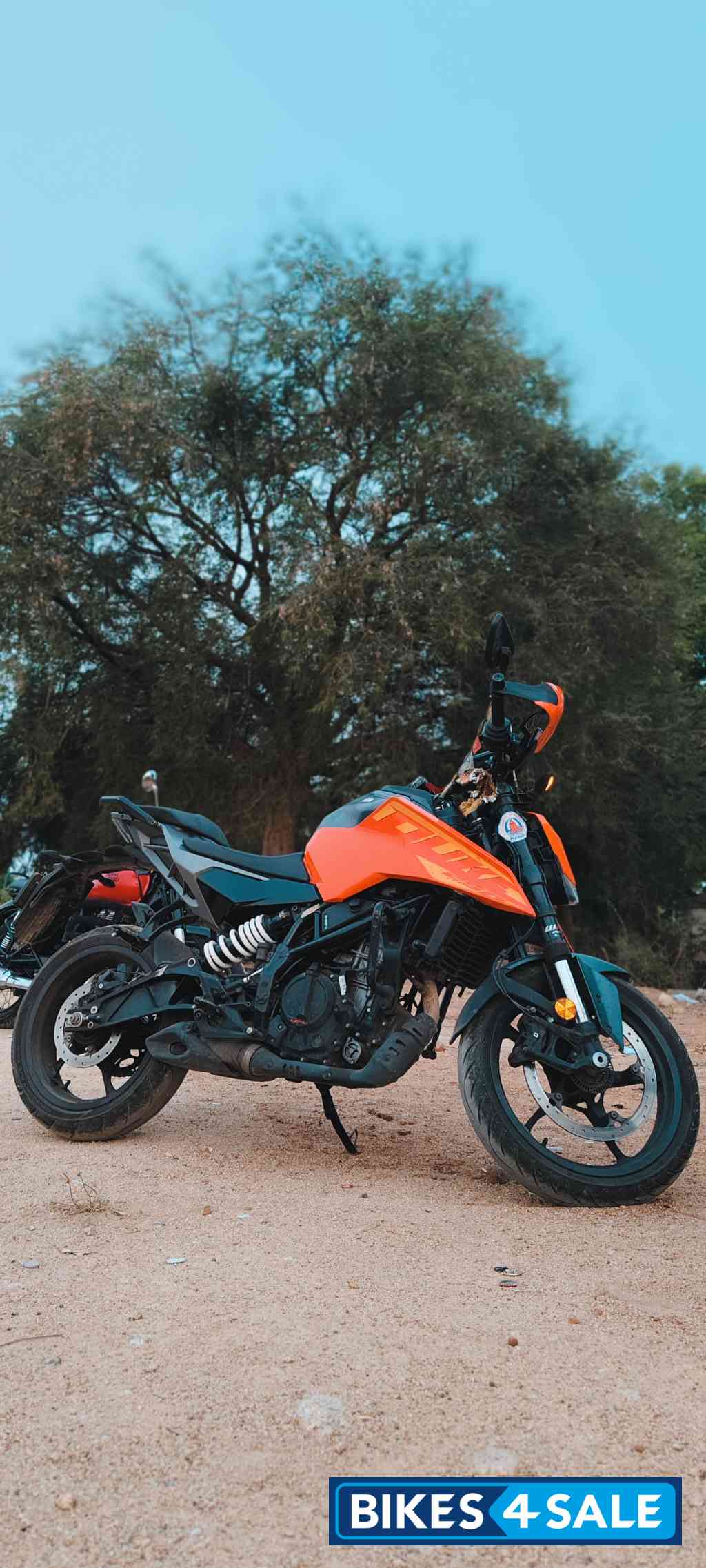KTM Duke 250 2024