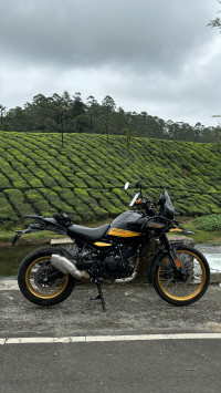 Royal Enfield Himalayan 452 2024 Model