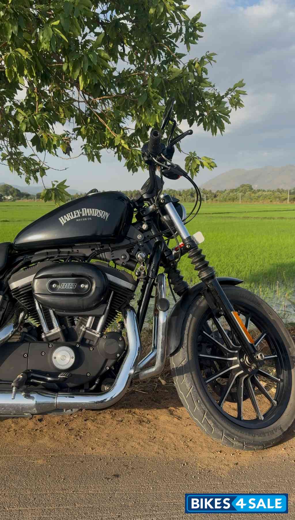 Denim Black Harley Davidson Iron 883