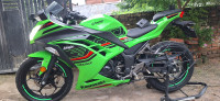 Green Kawasaki Ninja 300 BS6