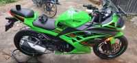 Green Kawasaki Ninja 300 BS6