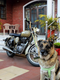 Desert Storm Royal Enfield Classic 500