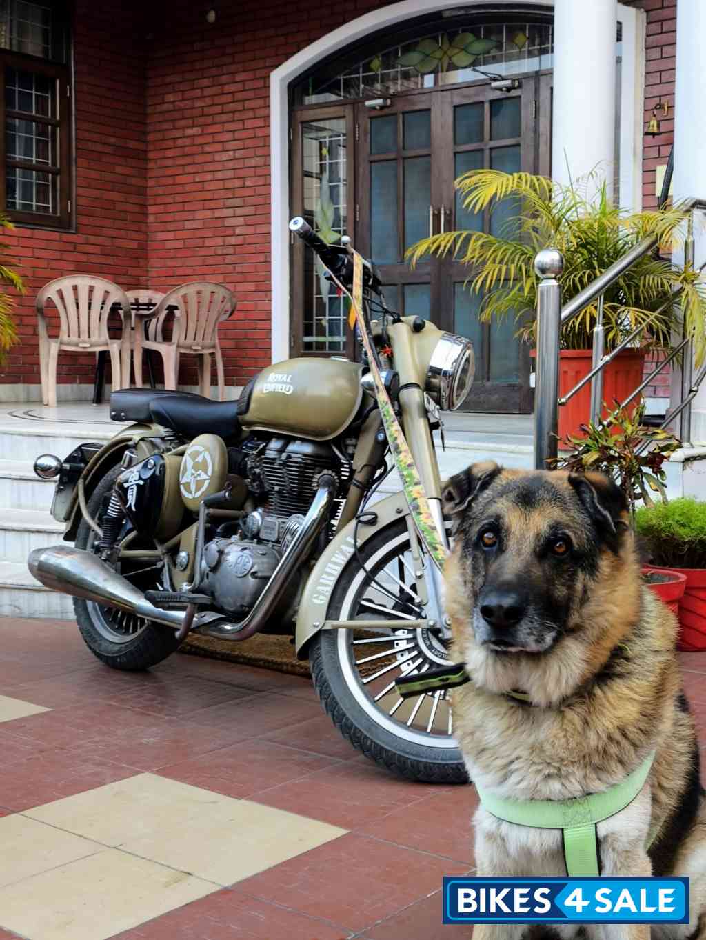 Desert Storm Royal Enfield Classic 500