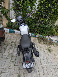 Yezdi Adventure Gloss