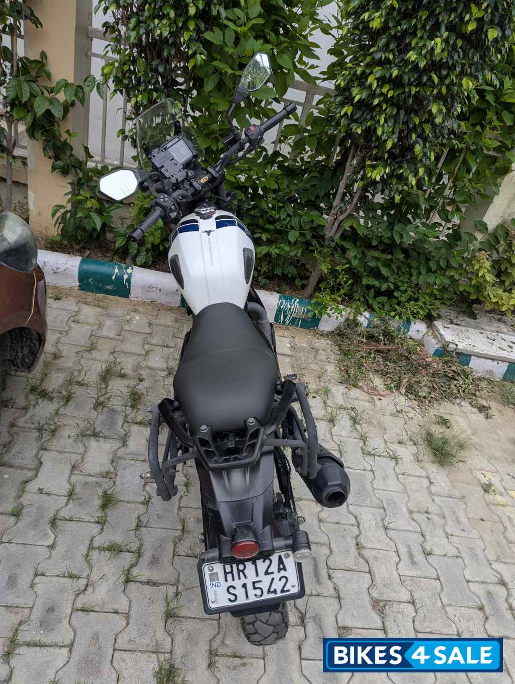 Yezdi Adventure Gloss