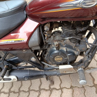 Maroon Bajaj Avenger Street 150