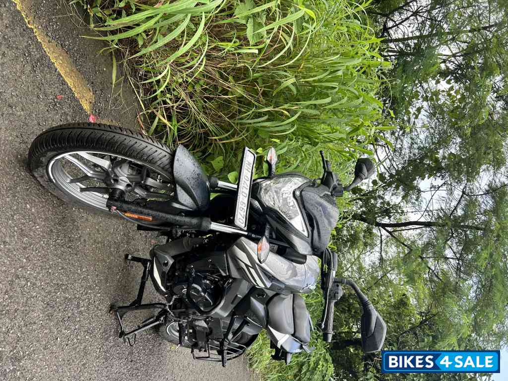 Gloss Pewter Grey Bajaj Pulsar NS 125