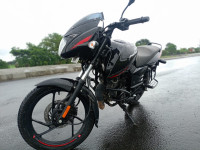 Bajaj Pulsar 125 Neon Disc Single Seat 2024 Model