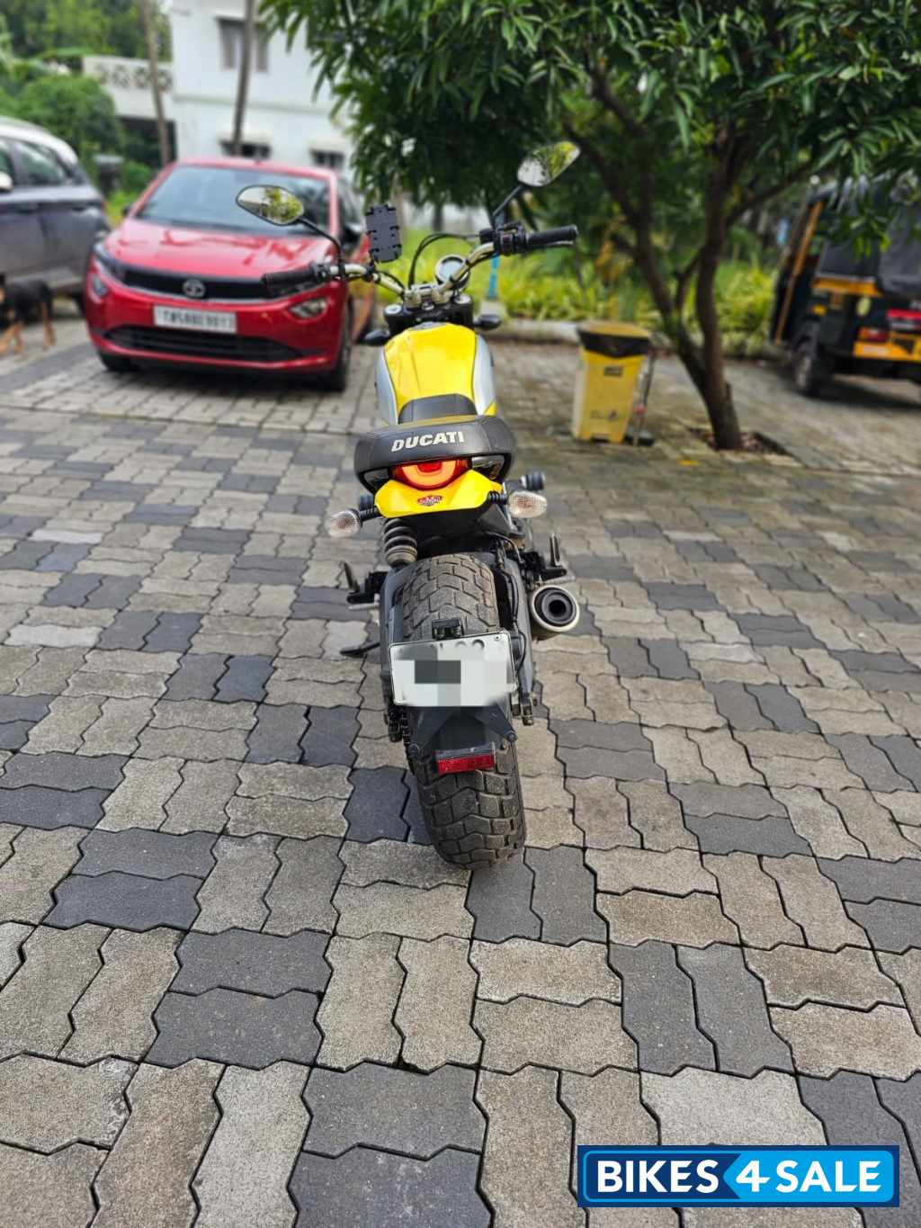 Ducati Scrambler Icon