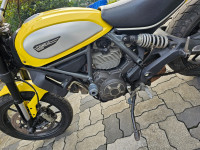 Ducati Scrambler Icon